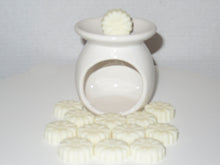 Load image into Gallery viewer, Scented Wax Melt Shapes - Year Round Scents